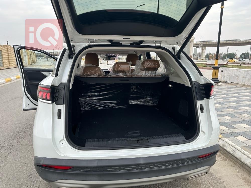 BAIC X7